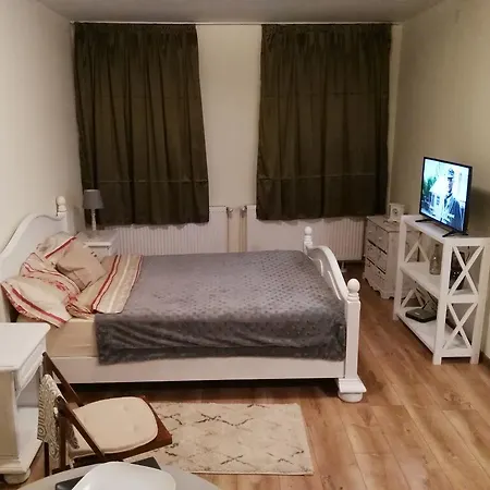 Studio Centru Istoric